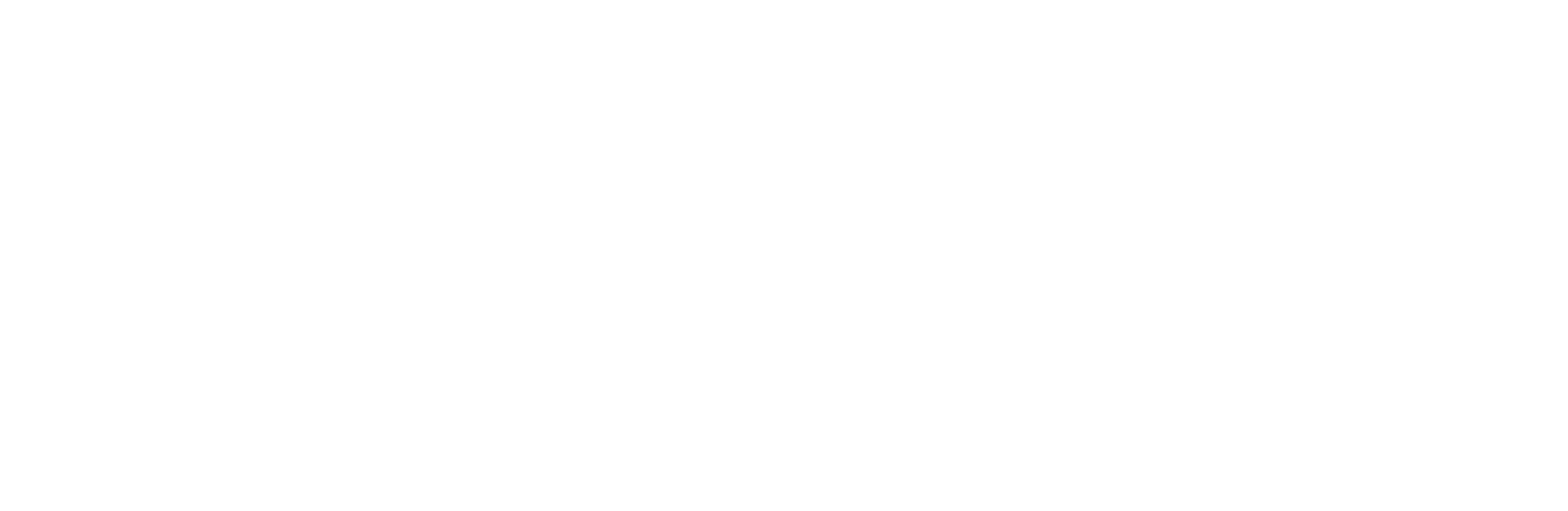 National Silicon Industry Group logo on a dark background (transparent PNG)