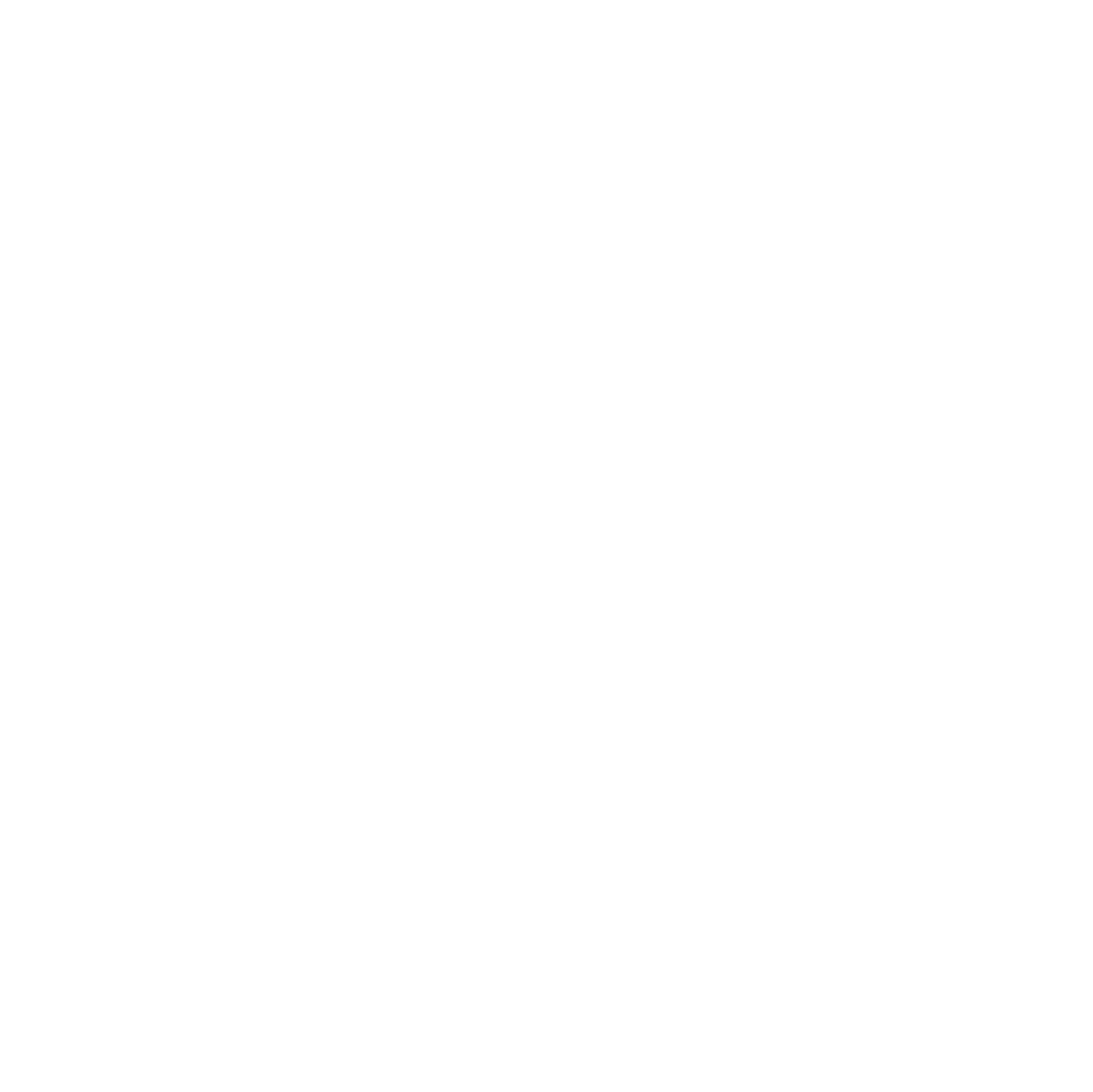 Shanghai BOCHU Electronic Technology logo on a dark background (transparent PNG)