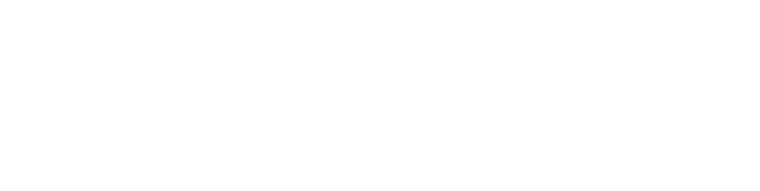Hangzhou EZVIZ Network Logo groß für dunkle Hintergründe (transparentes PNG)