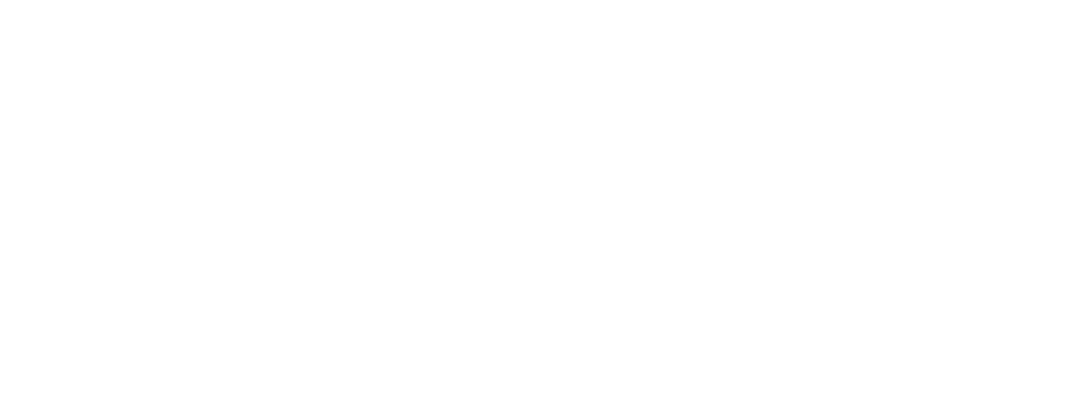 Denso logo fulle size on a dark background (transparent PNG)