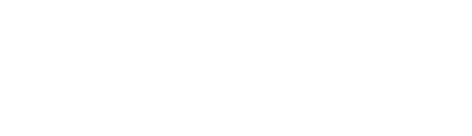 Stanley Electric logo fulle size on a dark background (transparent PNG)