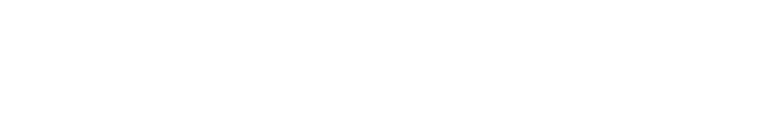 Nichicon Corporation Logo groß für dunkle Hintergründe (transparentes PNG)
