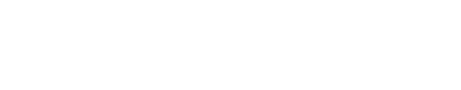 Net One Systems Logo groß für dunkle Hintergründe (transparentes PNG)