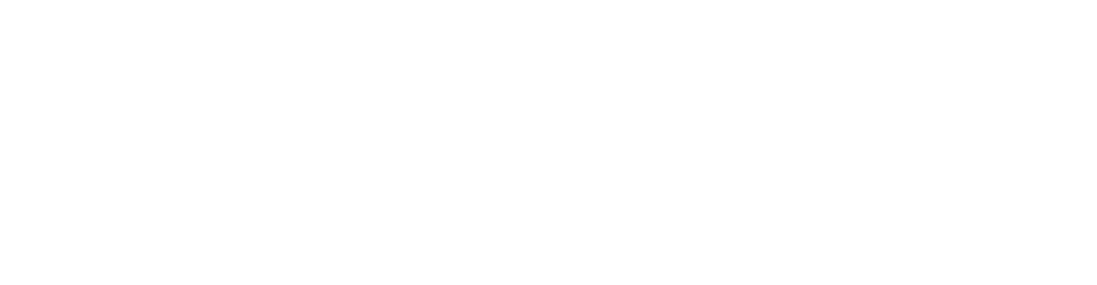 Nipro Corporation logo fulle size on a dark background (transparent PNG)