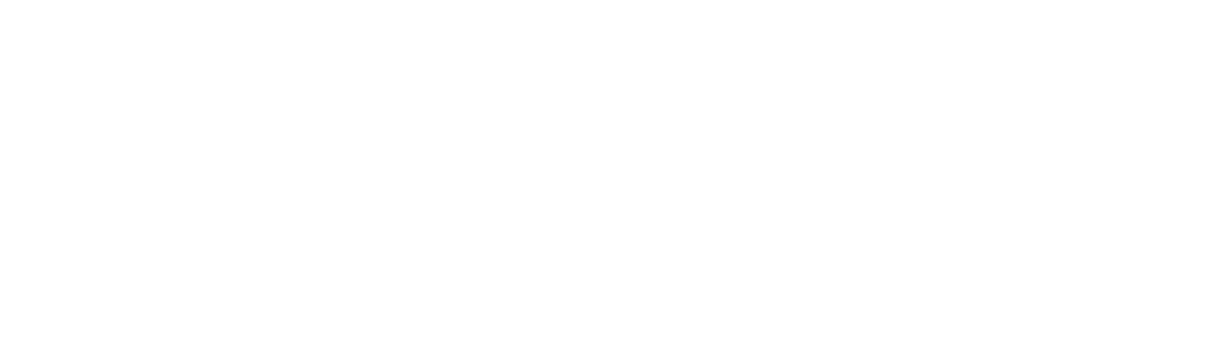 Traton Logo für dunkle Hintergründe (transparentes PNG)