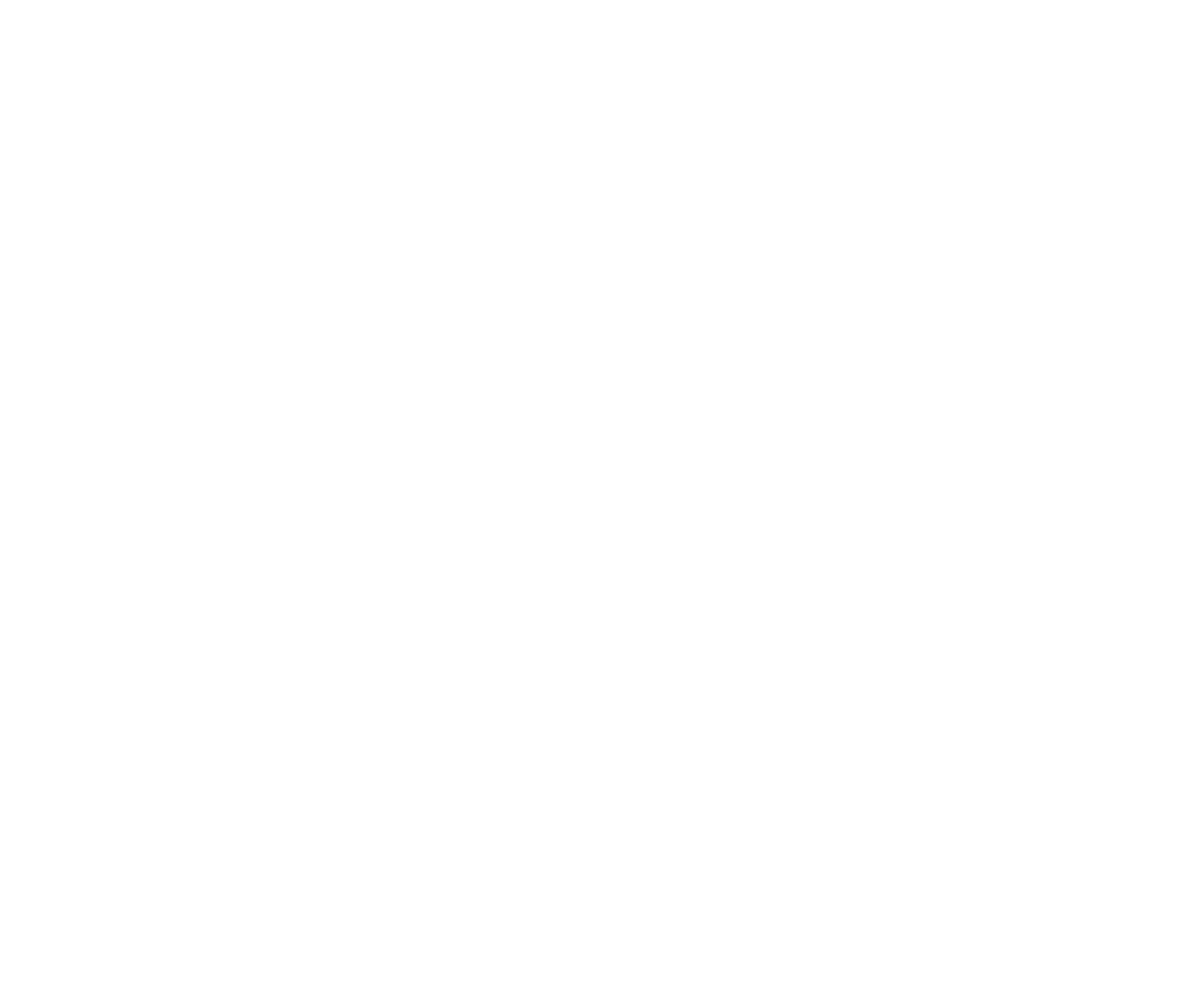 NIKKON Holdings logo pour fonds sombres (PNG transparent)