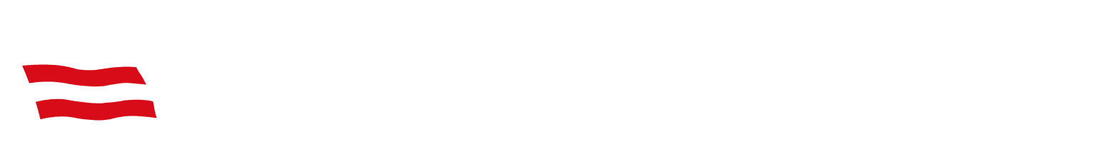 Nippon Yūsen
 logo grand pour les fonds sombres (PNG transparent)