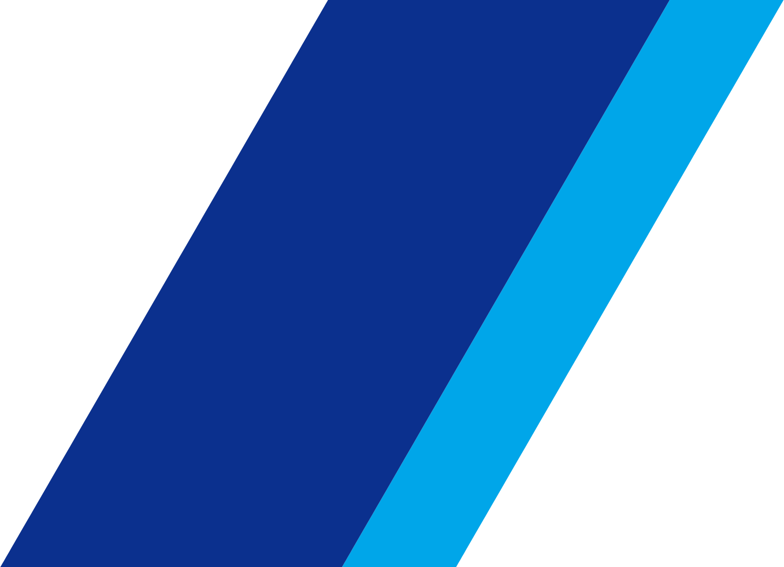 ANA Holdings
 Logo (transparentes PNG)