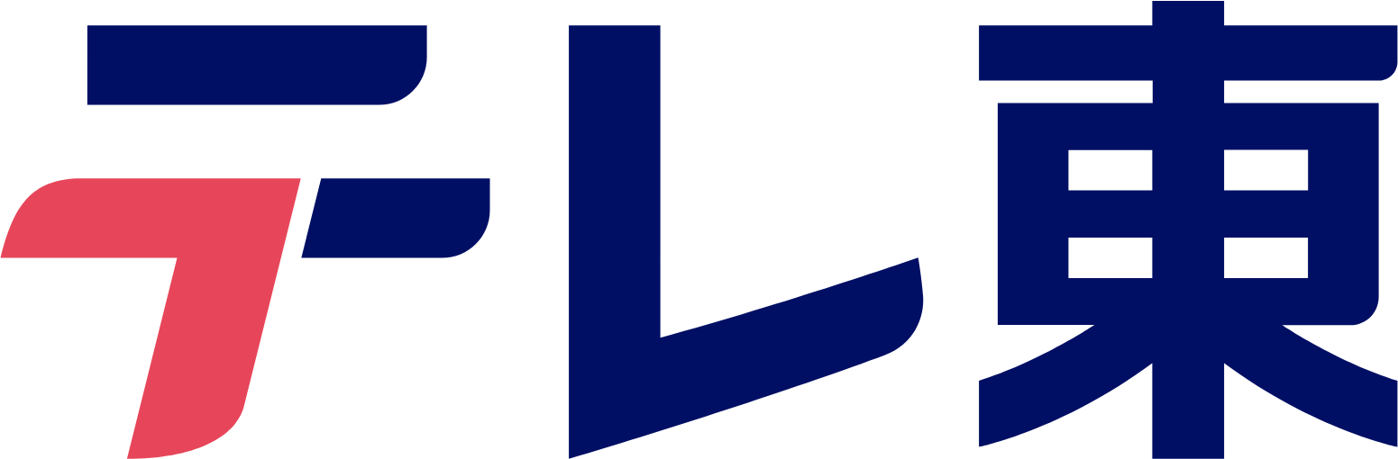 TV TOKYO Holdings logo large (transparent PNG)