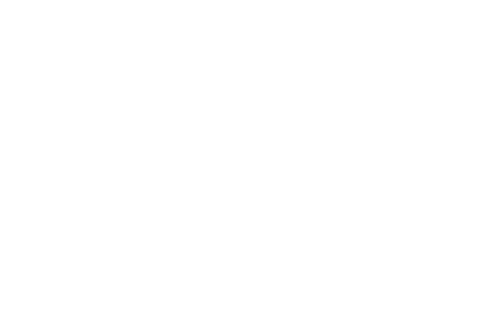 Raoom trading Company logo fulle size on a dark background (transparent PNG)