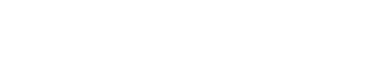 NTT Data
 Logo groß für dunkle Hintergründe (transparentes PNG)