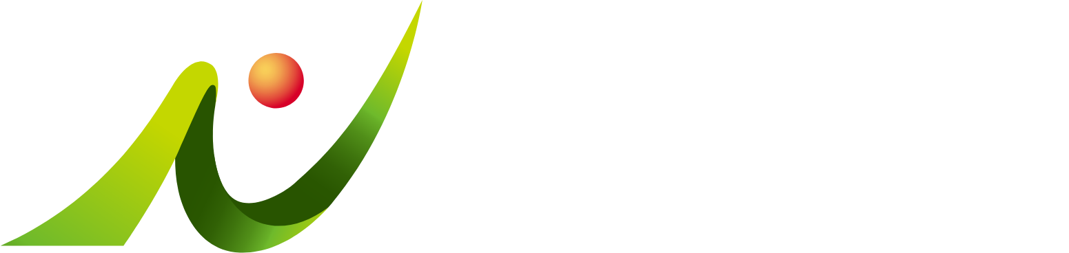NSD Co., Ltd. logo grand pour les fonds sombres (PNG transparent)