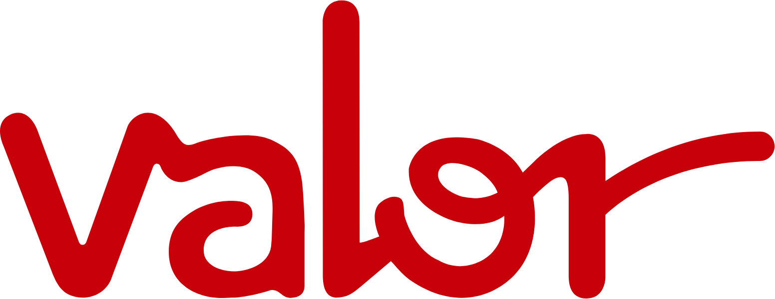 Valor Holdings logo (PNG transparent)