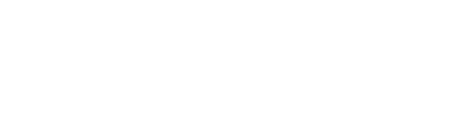 Accelya
 logo fulle size on a dark background (transparent PNG)