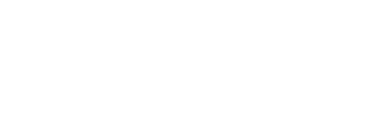 Ahold Delhaize logo grand pour les fonds sombres (PNG transparent)