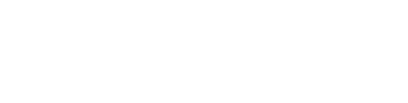 Abu Dhabi National Insurance Company Logo groß für dunkle Hintergründe (transparentes PNG)