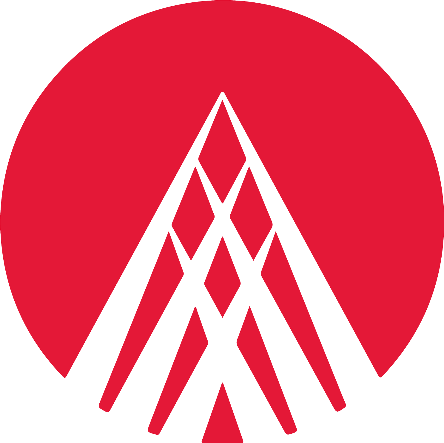 Alliance Data
 logo (transparent PNG)