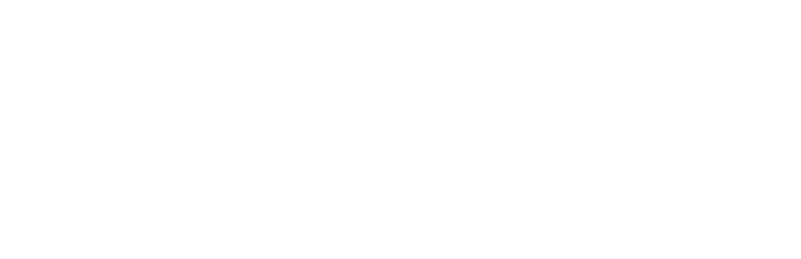 Adyen Logo groß für dunkle Hintergründe (transparentes PNG)