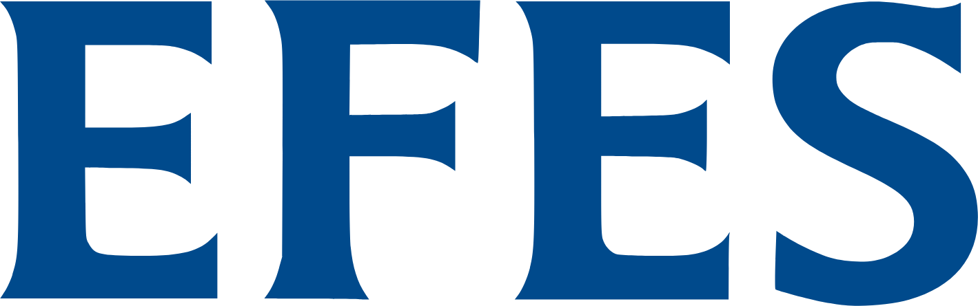 Efes Beverage Group logo in transparent PNG format