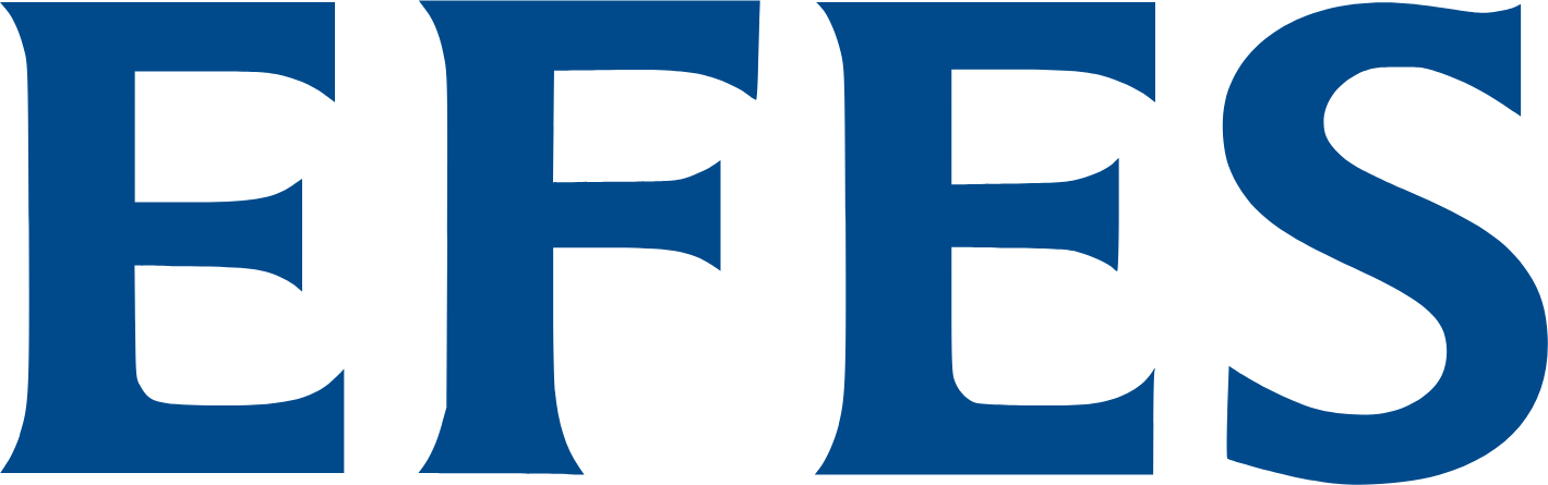 Efes Beverage Group
 Logo (transparentes PNG)