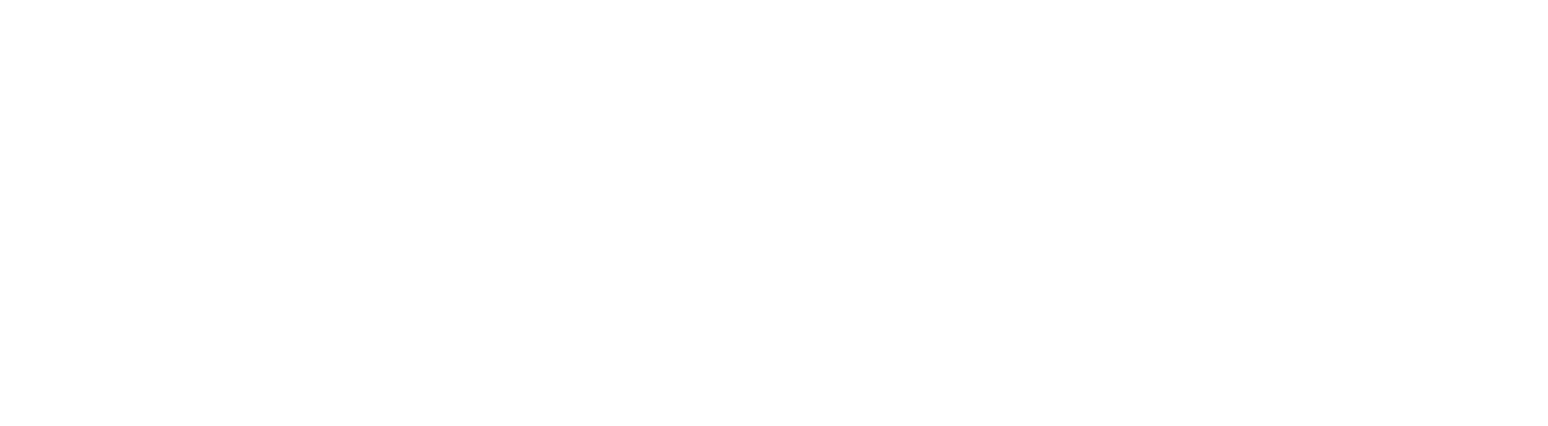 AerCap logo grand pour les fonds sombres (PNG transparent)