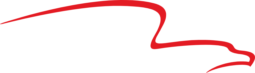 American Financial Group
 Logo (transparentes PNG)