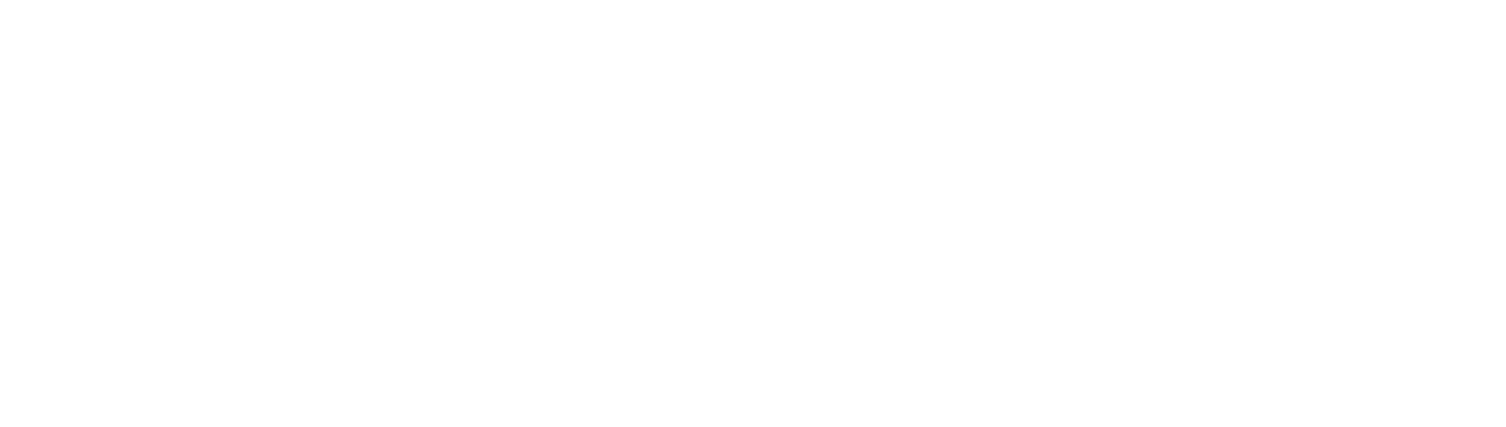 Auckland Airport logo grand pour les fonds sombres (PNG transparent)