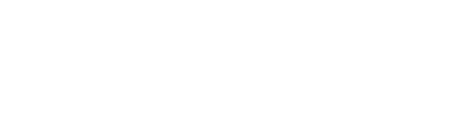 American Integrity Insurance Group Logo groß für dunkle Hintergründe (transparentes PNG)