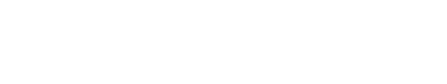 AkzoNobel
 Logo groß für dunkle Hintergründe (transparentes PNG)