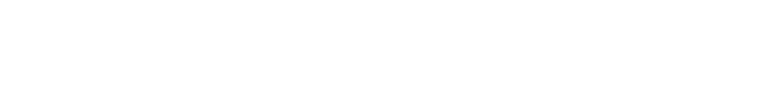 AkzoNobel
 Logo groß für dunkle Hintergründe (transparentes PNG)