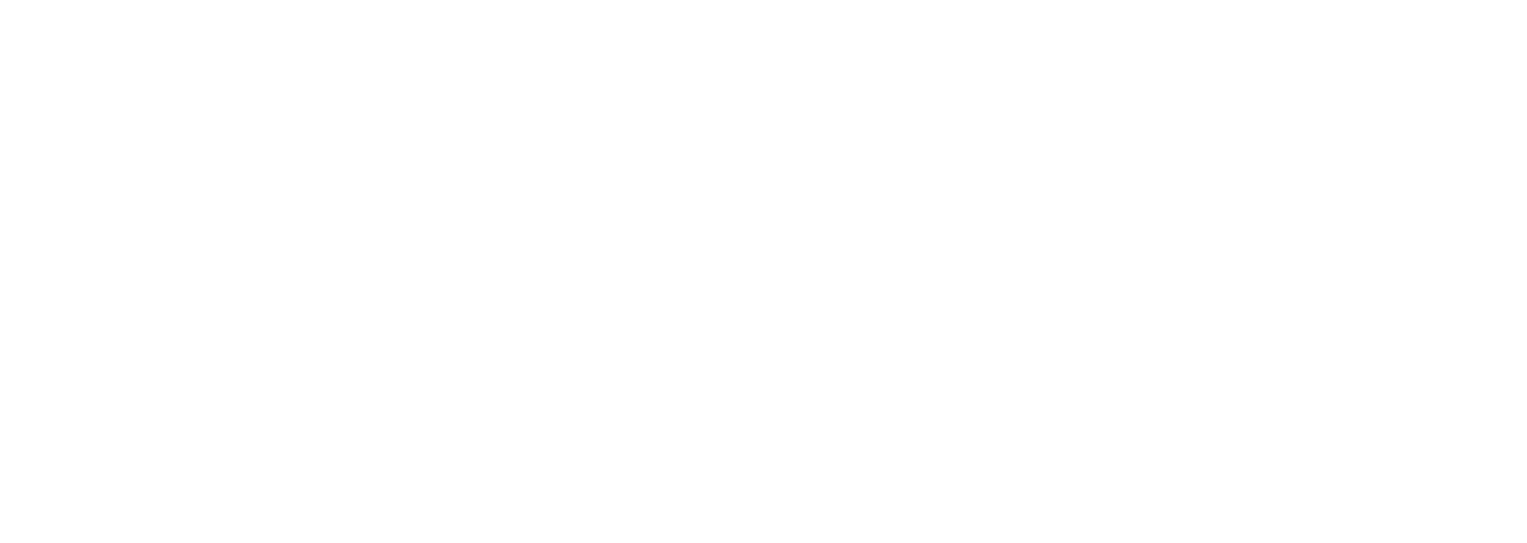 Bourrelier Group logo fulle size on a dark background (transparent PNG)