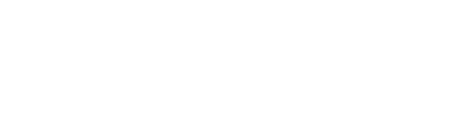 WALLIX Group logo grand pour les fonds sombres (PNG transparent)