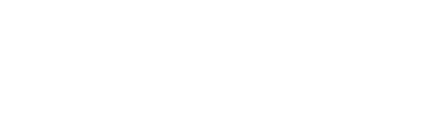 Mr.Bricolage logo grand pour les fonds sombres (PNG transparent)