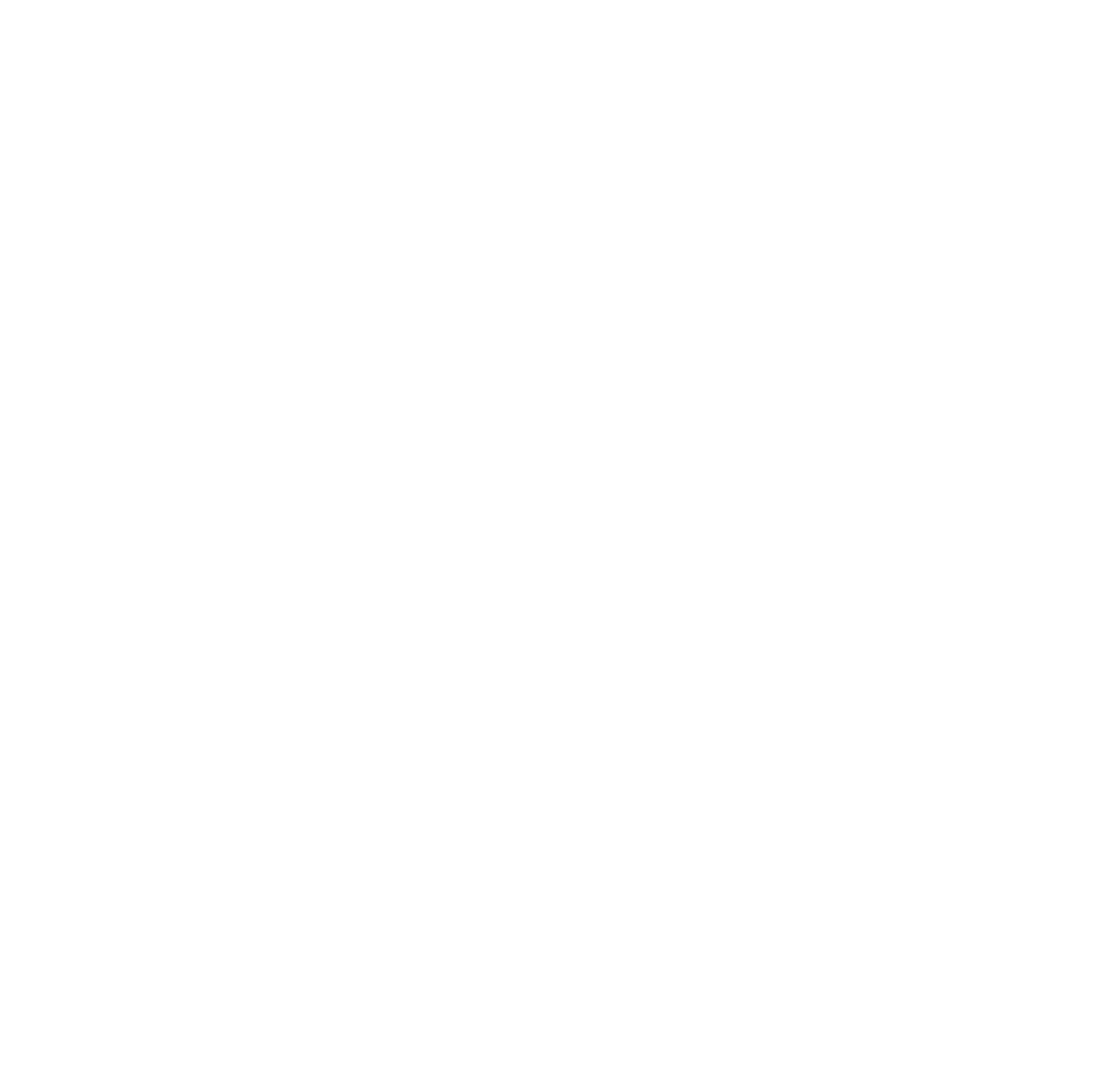 NSE SA Logo für dunkle Hintergründe (transparentes PNG)