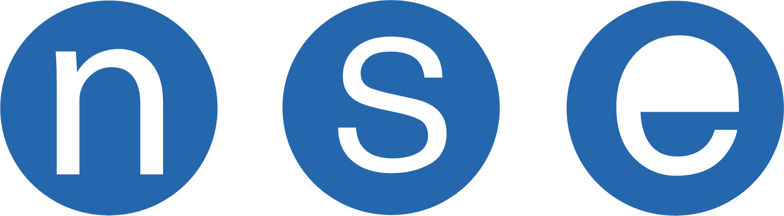 NSE SA logo large (transparent PNG)