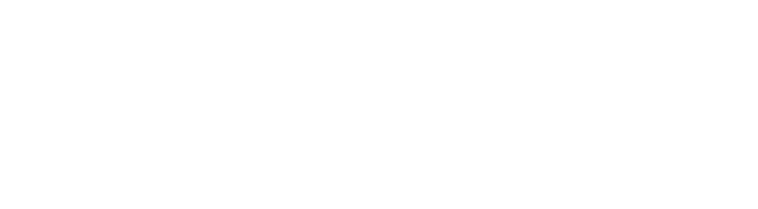 NSE SA Logo groß für dunkle Hintergründe (transparentes PNG)