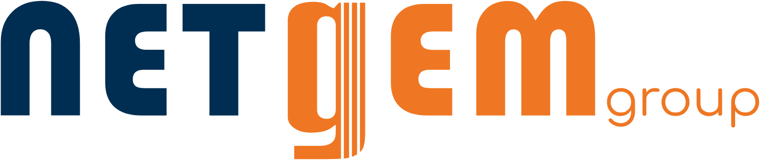 Netgem logo large (transparent PNG)