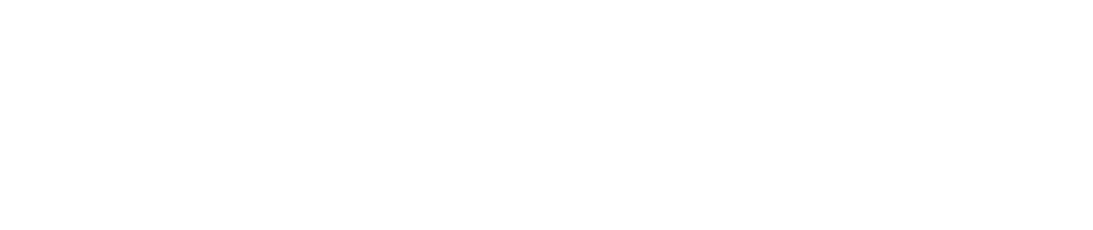 Netgem Logo groß für dunkle Hintergründe (transparentes PNG)