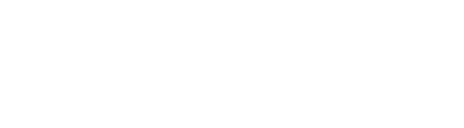 Predilife Logo groß für dunkle Hintergründe (transparentes PNG)