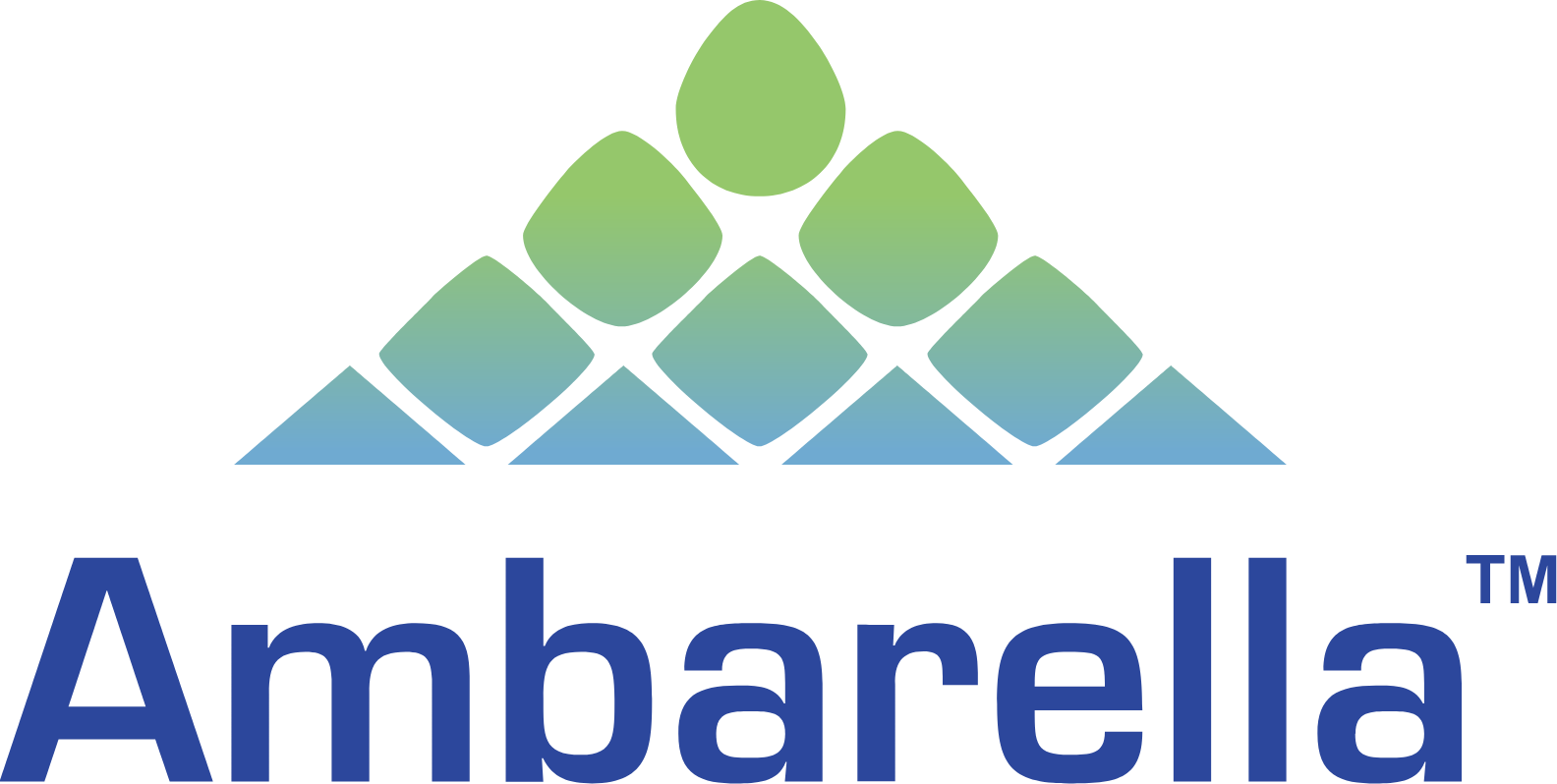 Ambarella logo large (transparent PNG)