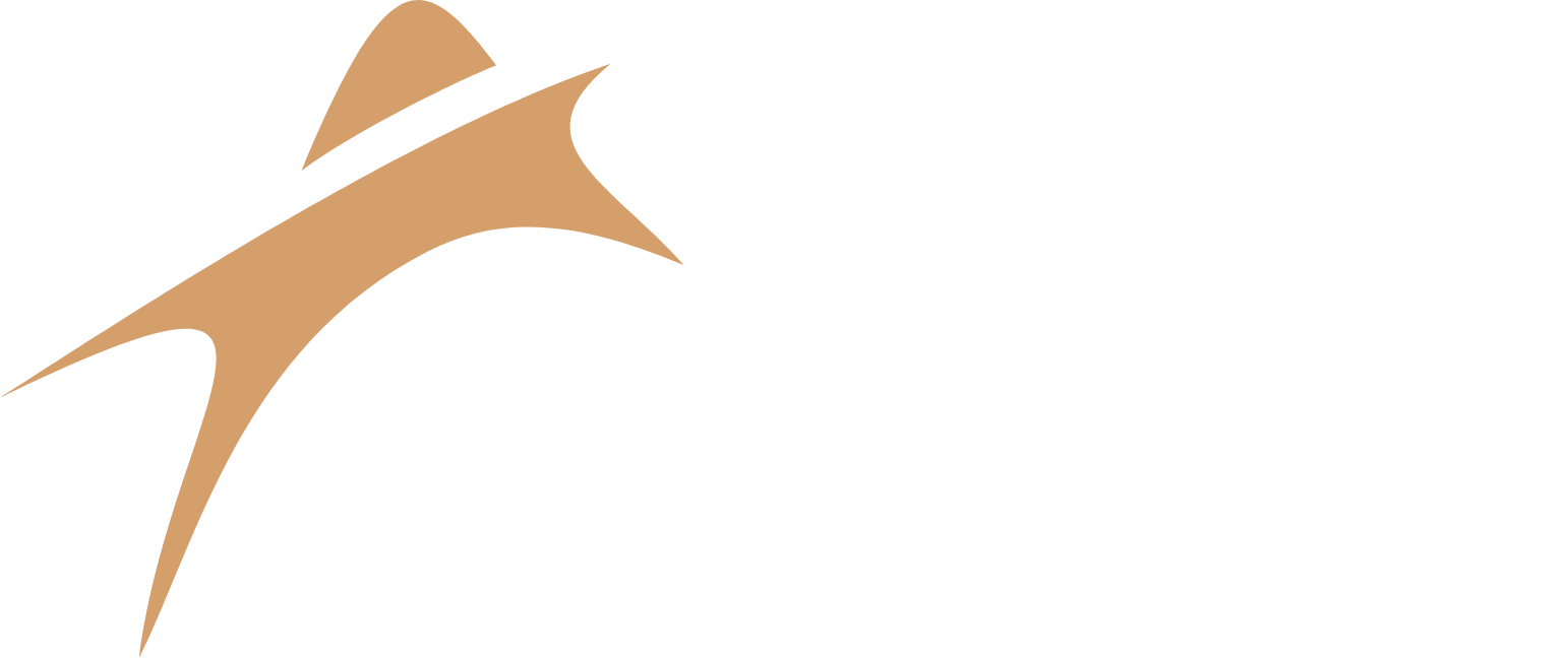 Amneal Pharmaceuticals
 Logo groß für dunkle Hintergründe (transparentes PNG)