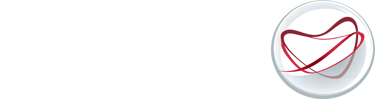 Anima Holding logo fulle size on a dark background (transparent PNG)