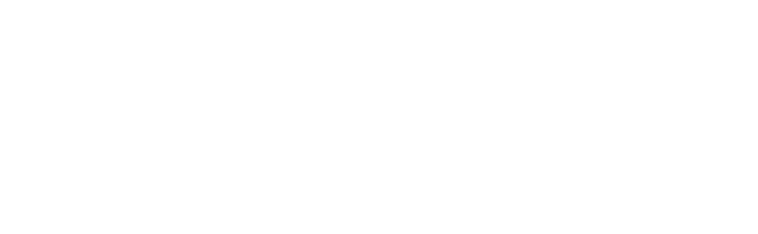 Ansell logo large for dark backgrounds (transparent PNG)