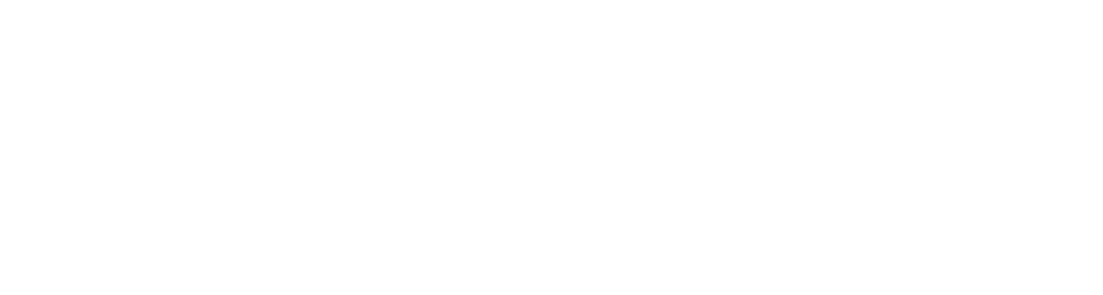 Antin Infrastructure Partners logo grand pour les fonds sombres (PNG transparent)