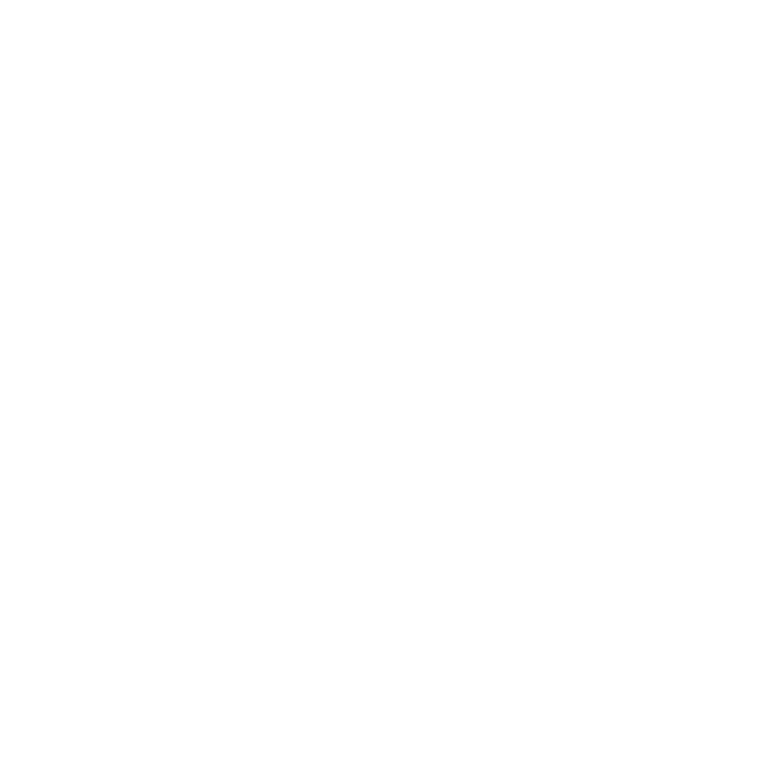 Air New Zealand
 logo pour fonds sombres (PNG transparent)
