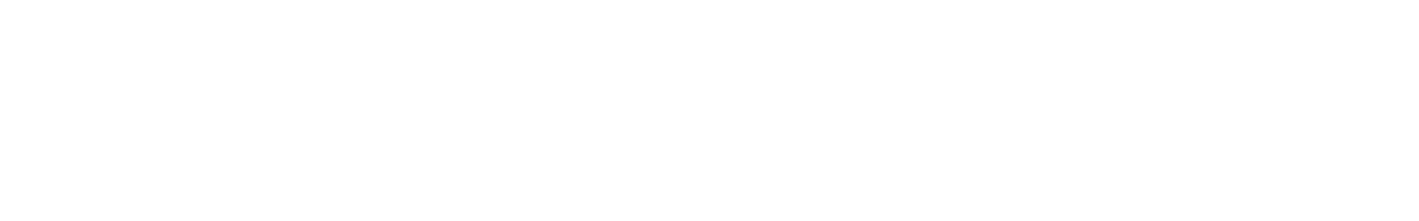 Air New Zealand
 logo grand pour les fonds sombres (PNG transparent)