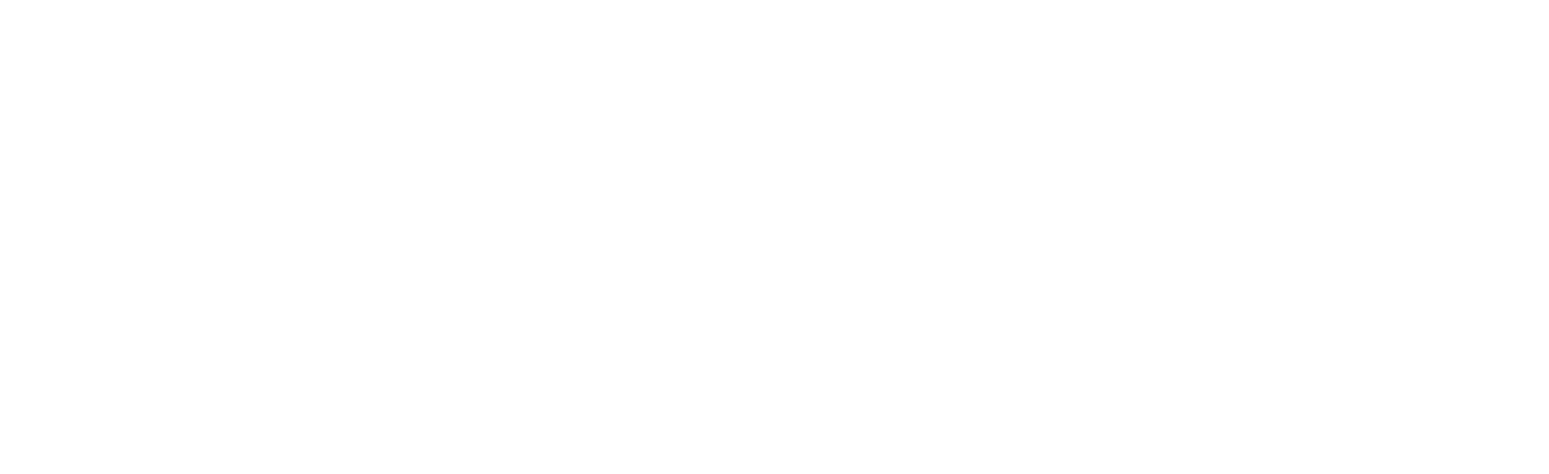 Auto Partner Logo groß für dunkle Hintergründe (transparentes PNG)