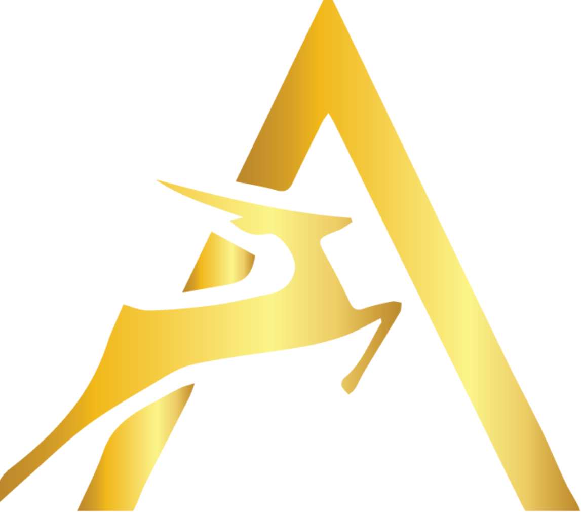 Aram Group Logo (transparentes PNG)
