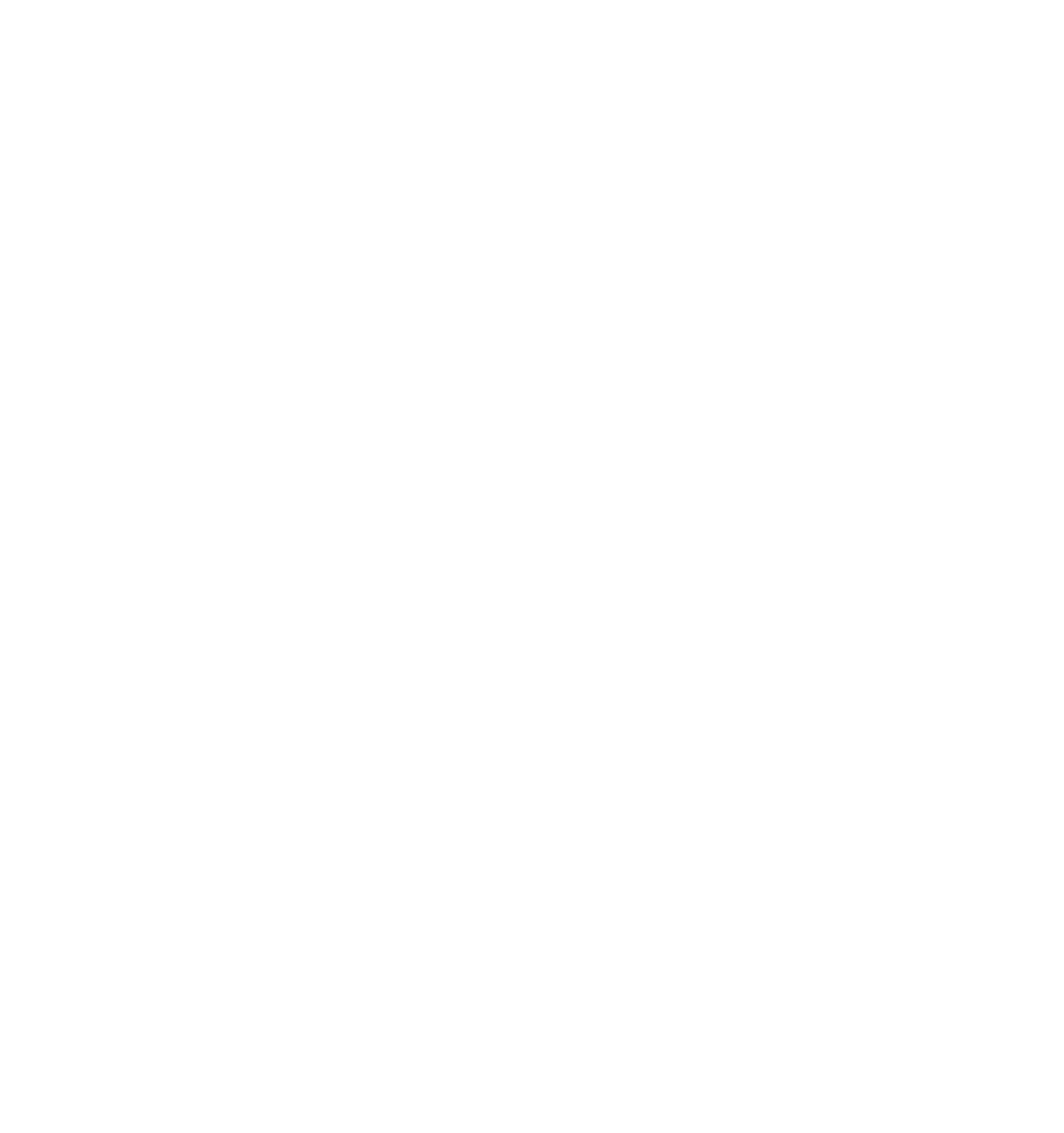 Autoneum Holding logo on a dark background (transparent PNG)