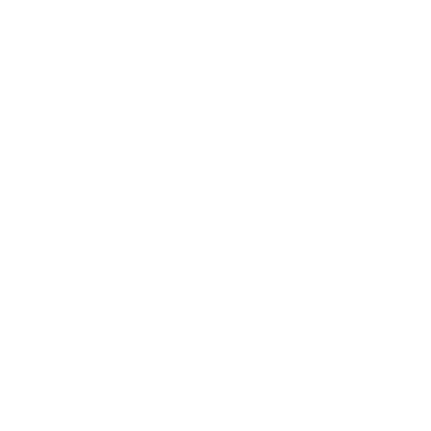 Broadcom Logo in monochromem Weiß (transparentes PNG)